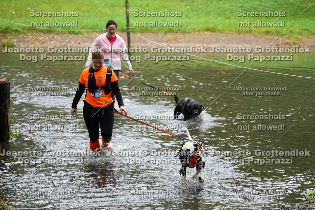 Dog Paparazzi -  SD1026-8211 | Dog Paparazzi Jeanette Grottendiek Fotografie & Videografie - Realisiert mit Pictrs.com