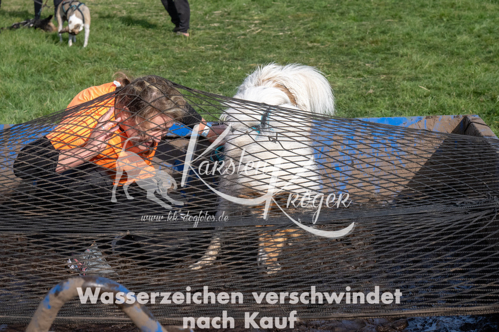 1642_ZZ92903 | kk-dogfotos