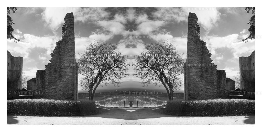 Hermann-Arts_Spiegelbilder_066 | Photo Foto Kunst Art schwarzweiss Bilder Rheine Münster Berlin Blumen 