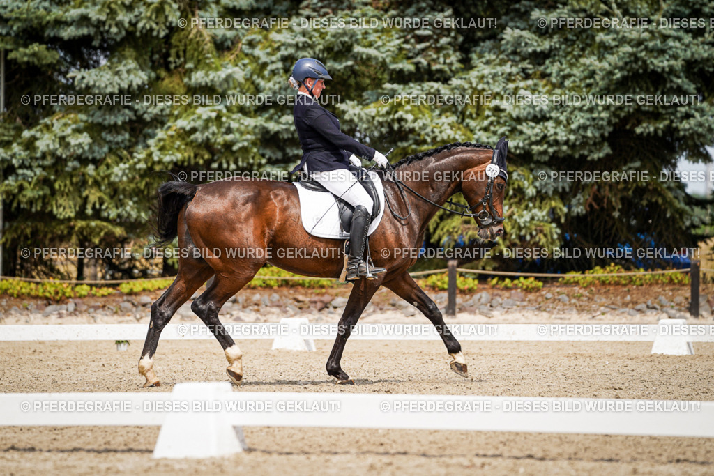 DSC03712 | Pferdegrafie