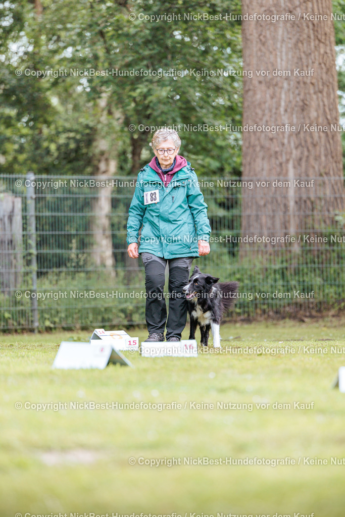 RO-Blumenthal-2026-Nickbest-Hundefotografie-5520 | Dein Hund! Dein Moment! Deine Erinnerungen! Hundefotografie in Bremen Blumenthal. Ich fange die besonderen Momente deines Vierbeiners ein – ob Indoor mit Blitzanlage oder in der freien Natur. Sicher dir dein Moment und dein Termin für eure Erinnerungen.