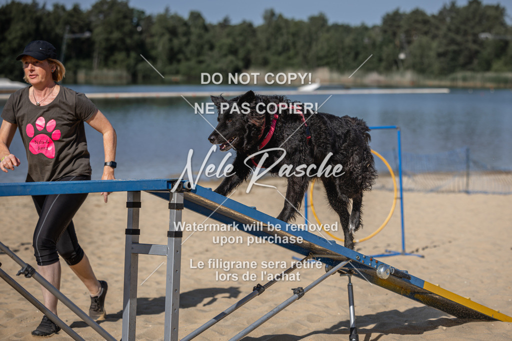 nelerasche_saBeachility_30 | nelerasche
