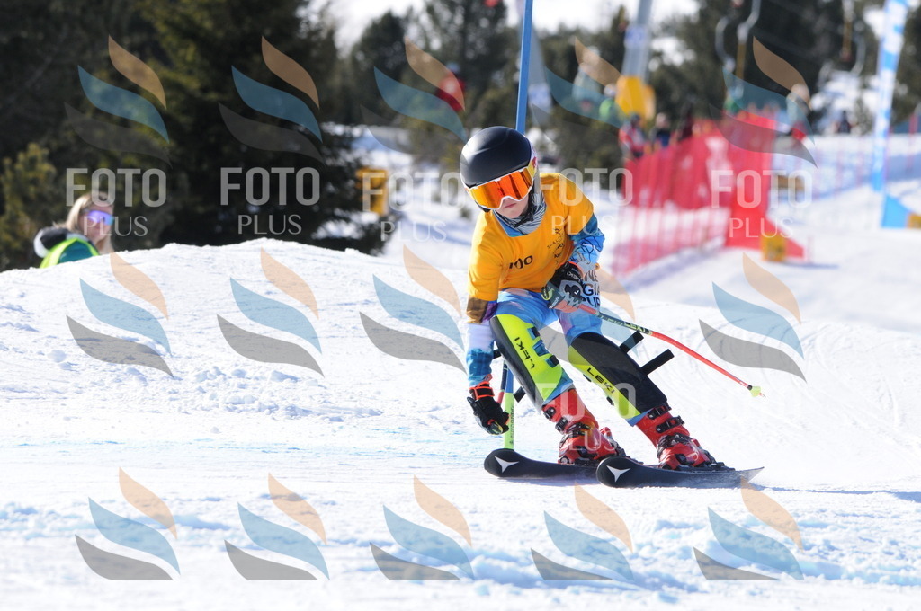 C7079 | holidayphoto