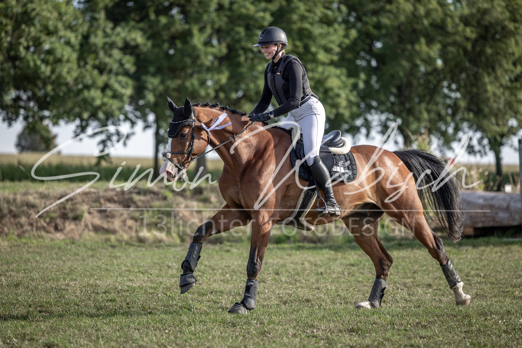 20250907-_3LI9037 | Tierfotografie Pferde, Hunde, Katzen, Haustiere.
Turnierfotografie Reitturniere, Reiten, Springreiten, Dressur in Hanau, dem Main-Kinzig-Kreis und dem Rhein-Main- Gebiet um Frankfurt