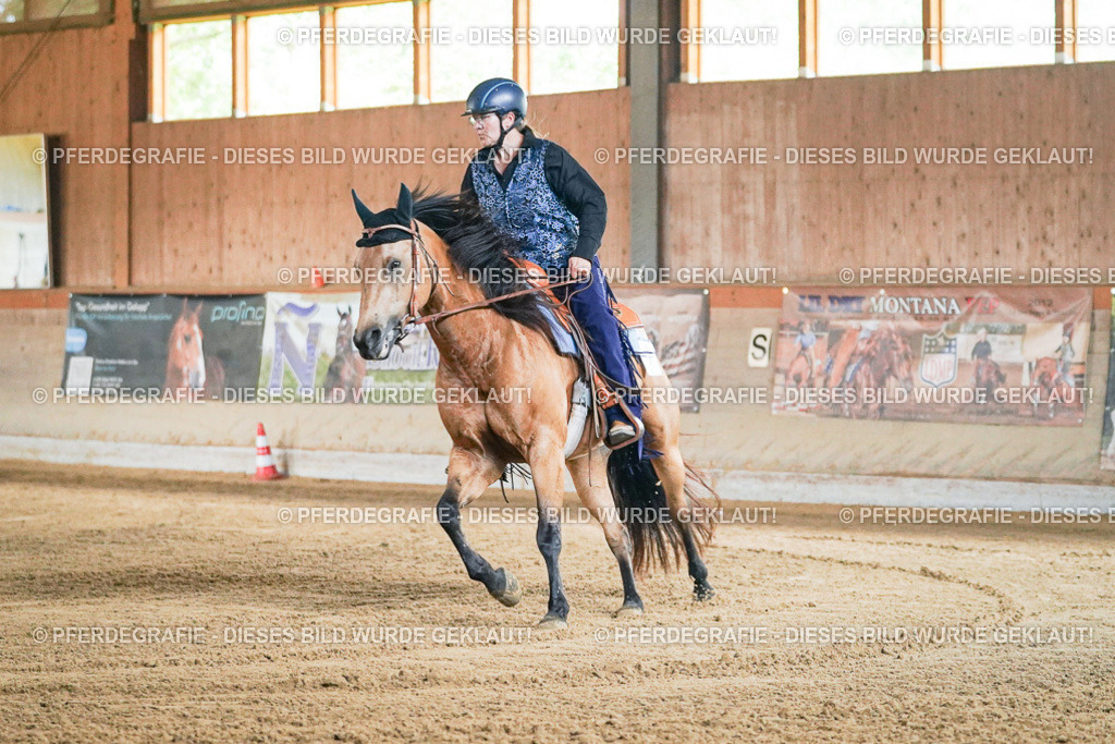 DSC05168 | Pferdegrafie