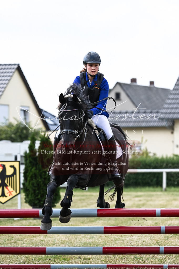 DSC_8970 | Pferde- und Turnierfotografie in Westsachsen. Pferdeportraits, Auftragszeichnungen und intuitive Kunst.