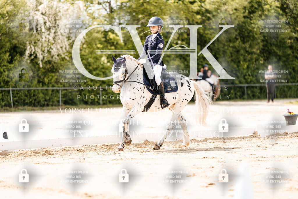 CK901714 | Turnierfotografie Pferdefotografie Trier Rheinland-Pfalz Pferdesport Reitsport Tierfotografie Sportfotografie Pferdevideo Pferdevideografie Equestrianvideography equestrianphotography  - Realisiert mit Pictrs.com