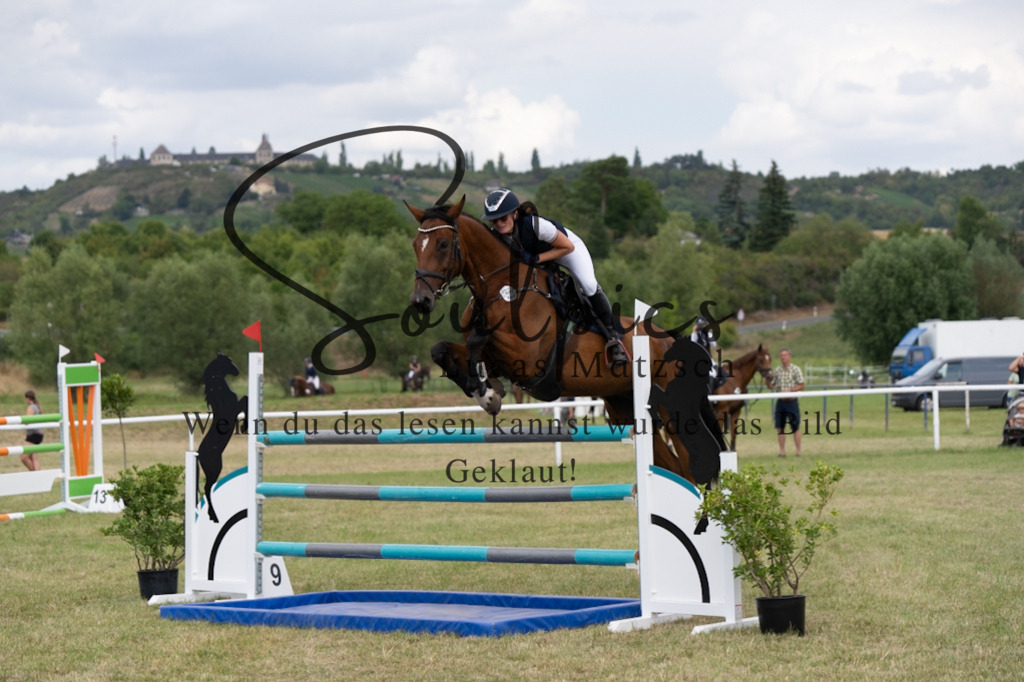 A7V02190 | Pferdefotograf