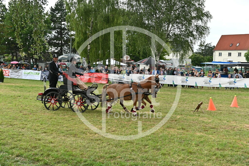 DSC_4522 | sattelsport - Realisiert mit Pictrs.com