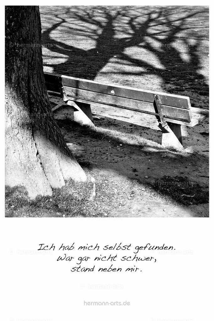 PK_Zitate_10x15_BW-082 | Photo Foto Kunst Art schwarzweiss Bilder Rheine Münster Berlin Blumen 