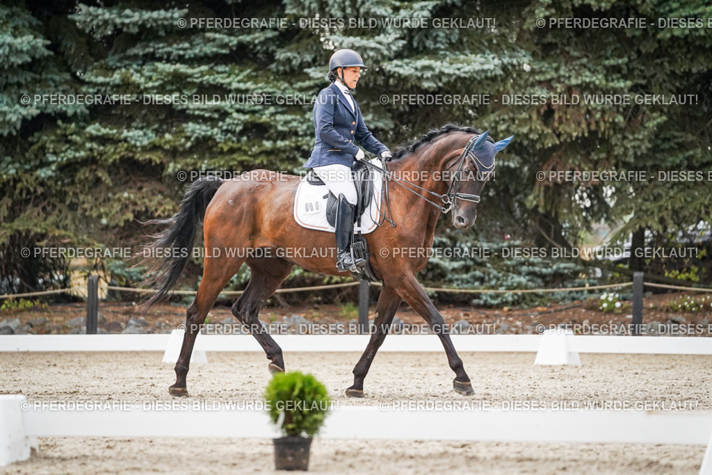 DSC09512 | Pferdegrafie