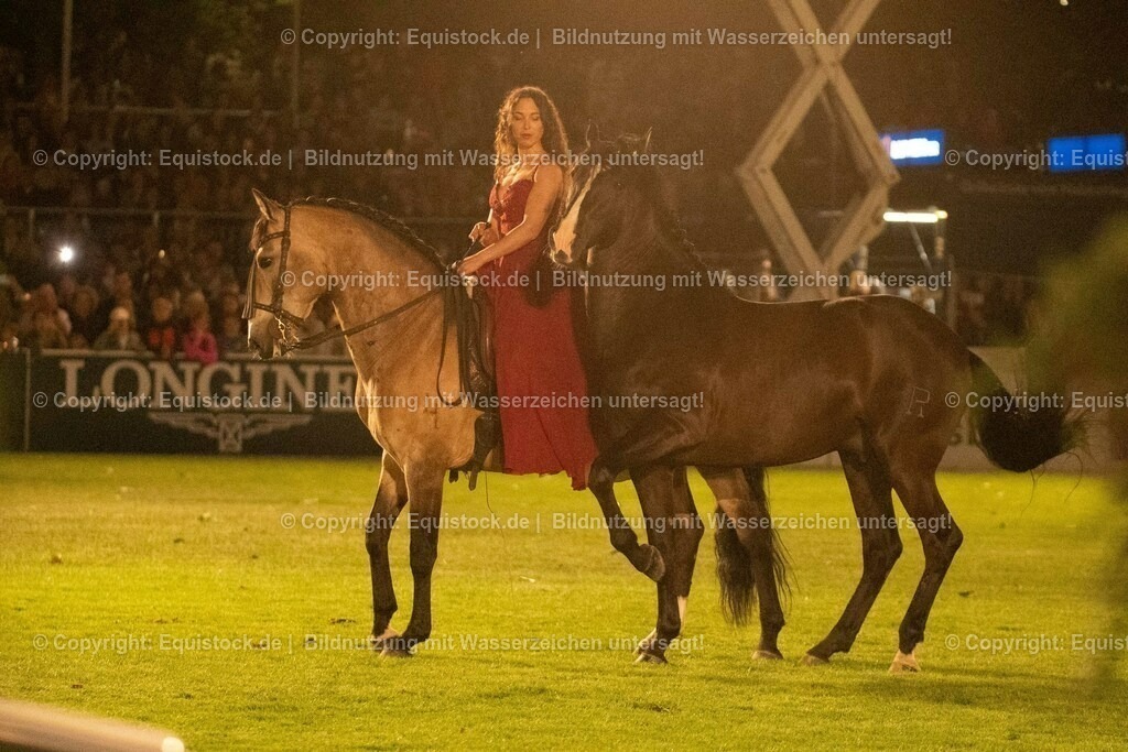20230526_Pferdenacht_1437 | equistock