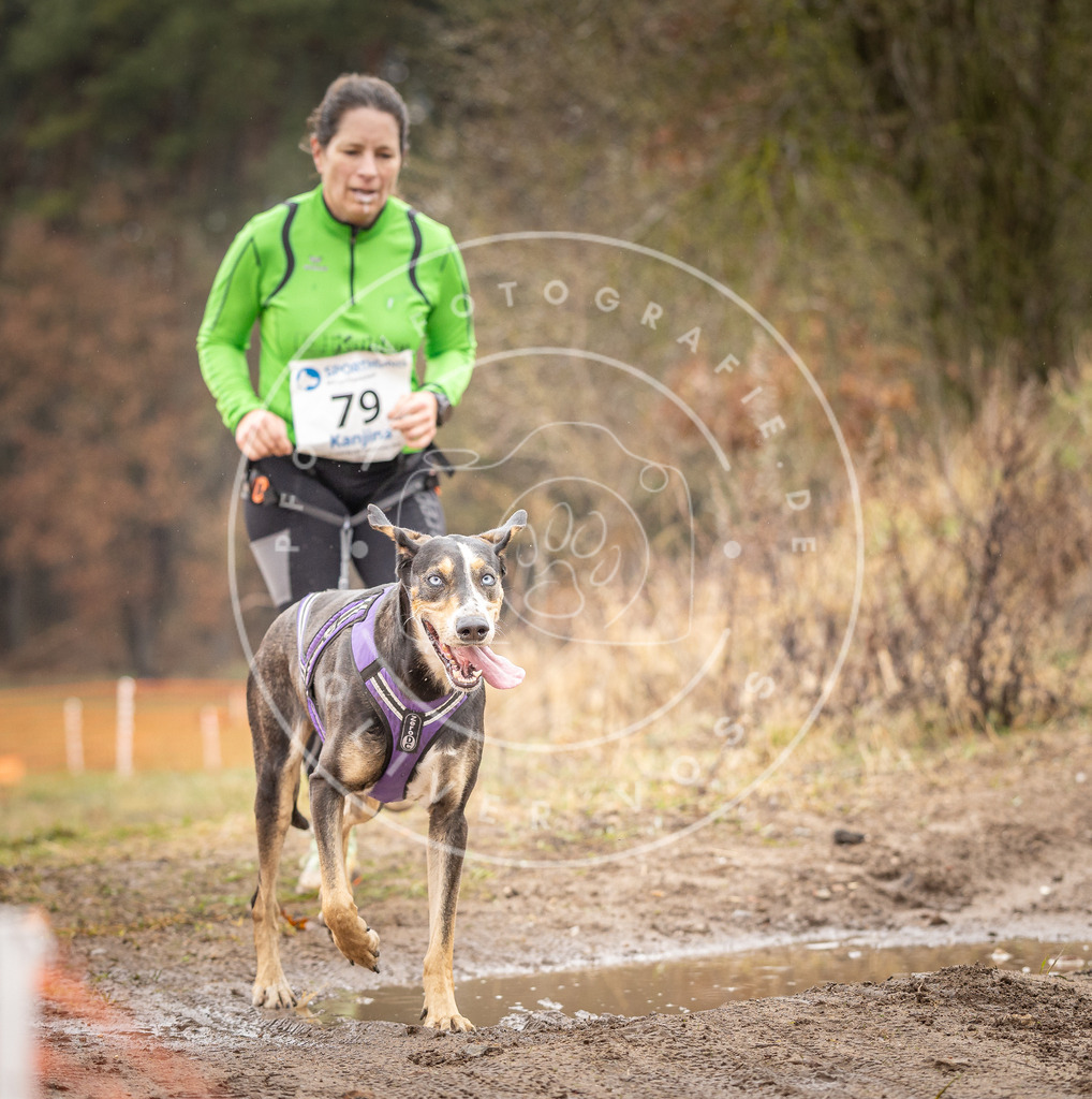 DV3A0329 | Hundefotografie, Tierfotograf, Pfotenfotografie, Fotoshooting Hund, Hunde Portrait, Hundesport, Hundeportraits, Heideshooting, Hunde, Sportfotograf, Hundefotograf, Turnierhundsport, THS,  - Realisiert mit Pictrs.com