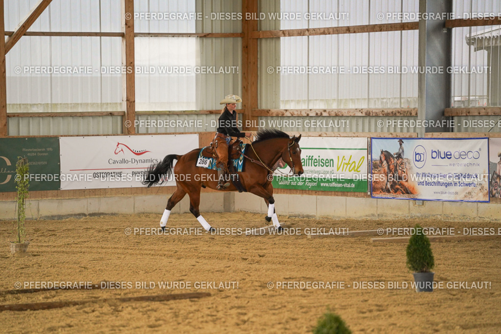 DSC04448 | Pferdegrafie