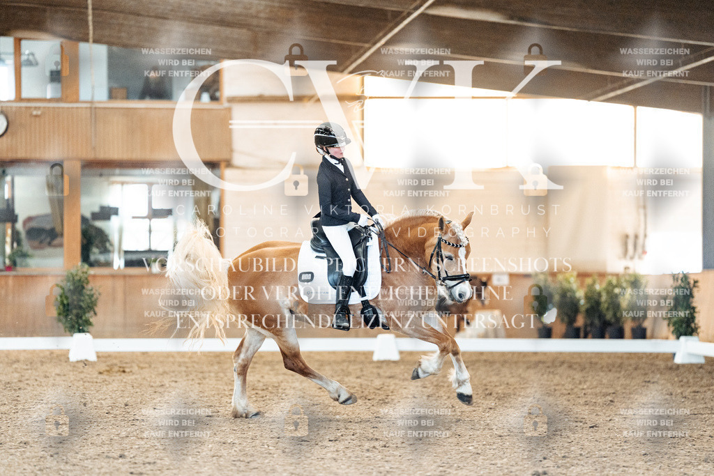 CK907409 | Turnierfotografie Pferdefotografie Trier Rheinland-Pfalz Pferdesport Reitsport Tierfotografie Sportfotografie Pferdevideo Pferdevideografie Equestrianvideography equestrianphotography  - Realisiert mit Pictrs.com