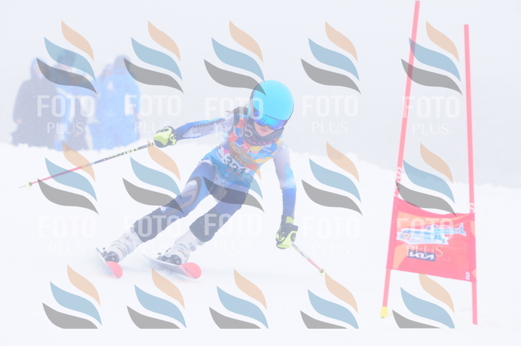 C3543 | holidayphoto