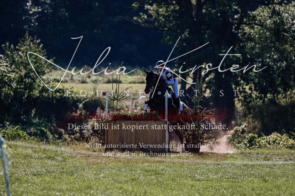 DSC_1431 | Pferde- und Turnierfotografie in Westsachsen. Pferdeportraits, Auftragszeichnungen und intuitive Kunst.