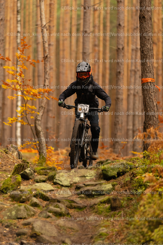 E68A2772 | blick_win_kel