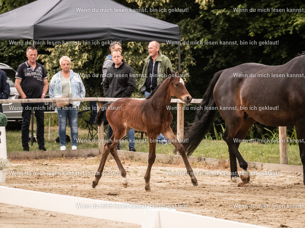 A10I3827 15.58.11 | photographylinaismer - Realisiert mit Pictrs.com