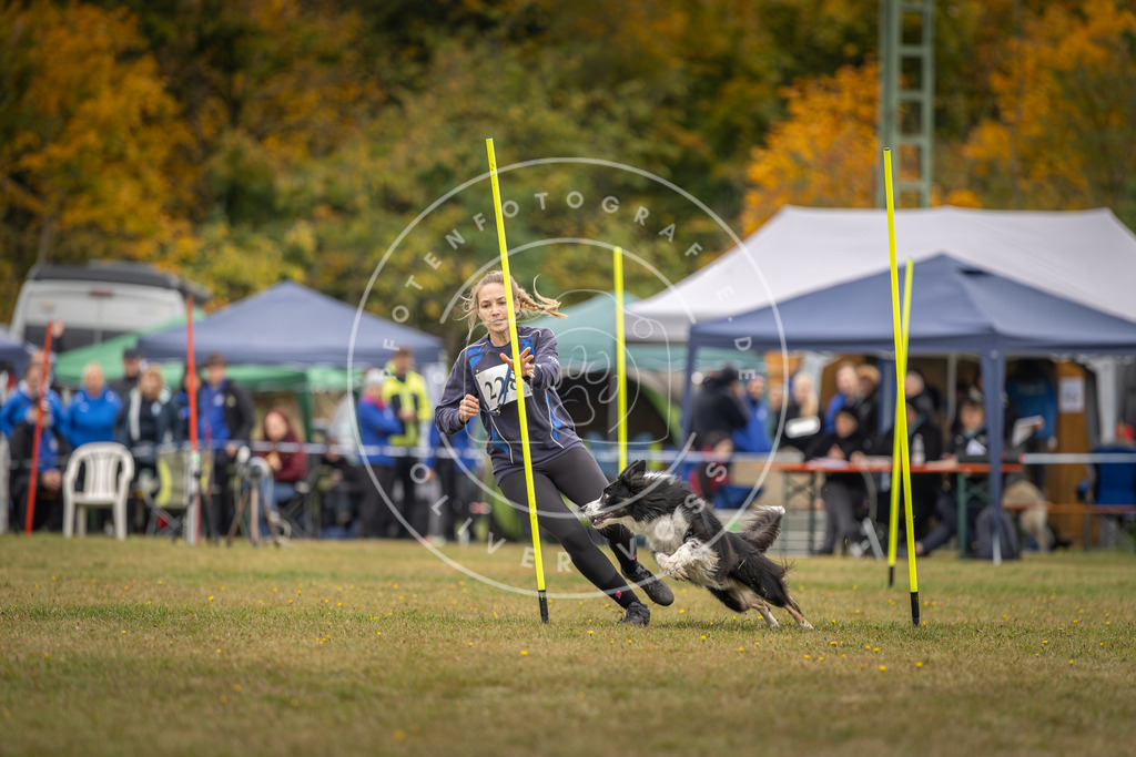 Pfotenfotografie_DV3A4056 | Hundefotografie, Tierfotograf, Pfotenfotografie, Fotoshooting Hund, Hunde Portrait, Hundesport, Hundeportraits, Heideshooting, Hunde, Sportfotograf, Hundefotograf, Turnierhundsport, THS,  - Realisiert mit Pictrs.com