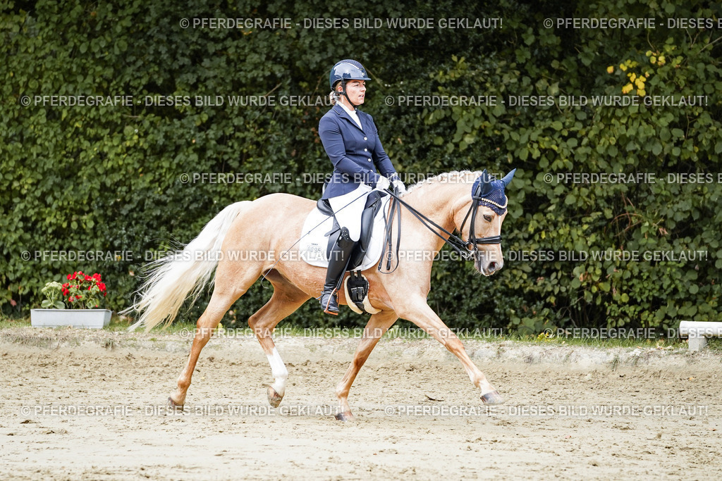 DSC04804 | Pferdegrafie