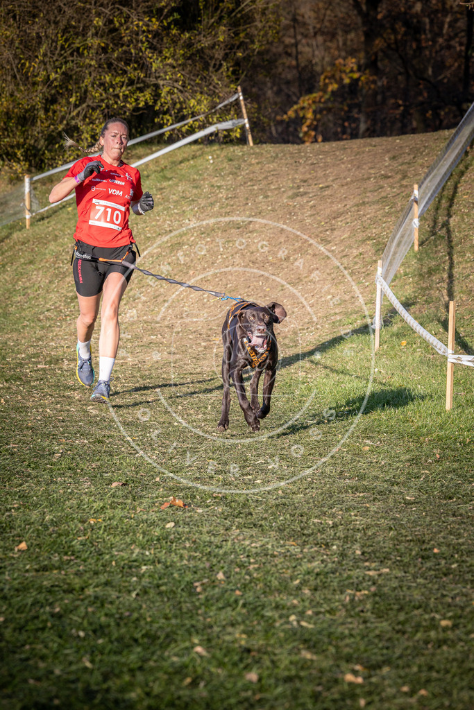 CaniXpix_0L8A9563 | Hundefotografie, Tierfotograf, Pfotenfotografie, Fotoshooting Hund, Hunde Portrait, Hundesport, Hundeportraits, Heideshooting, Hunde, Sportfotograf, Hundefotograf, Turnierhundsport, THS,  - Realisiert mit Pictrs.com