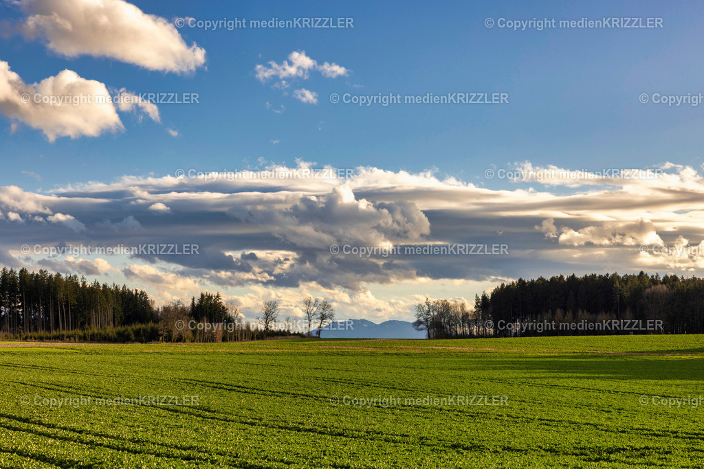 _J3A0387 | medienkrizzler - Realisiert mit Pictrs.com