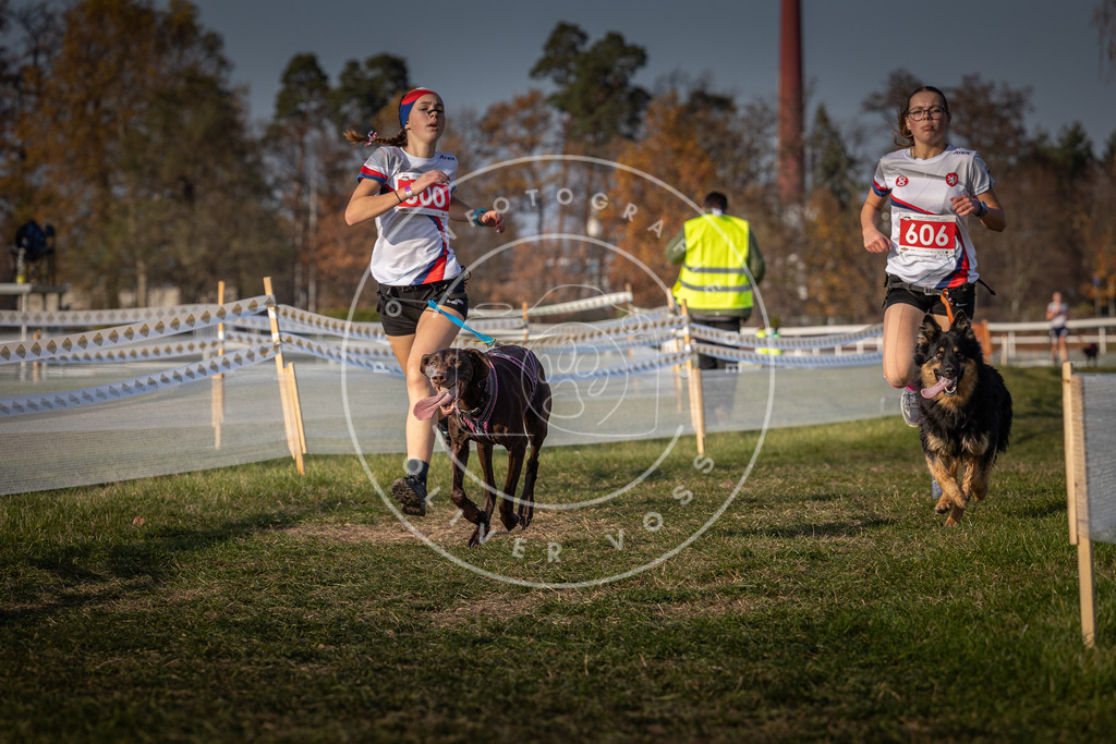 CaniXpix_0L8A9996 | Hundefotografie, Tierfotograf, Pfotenfotografie, Fotoshooting Hund, Hunde Portrait, Hundesport, Hundeportraits, Heideshooting, Hunde, Sportfotograf, Hundefotograf, Turnierhundsport, THS,  - Realisiert mit Pictrs.com