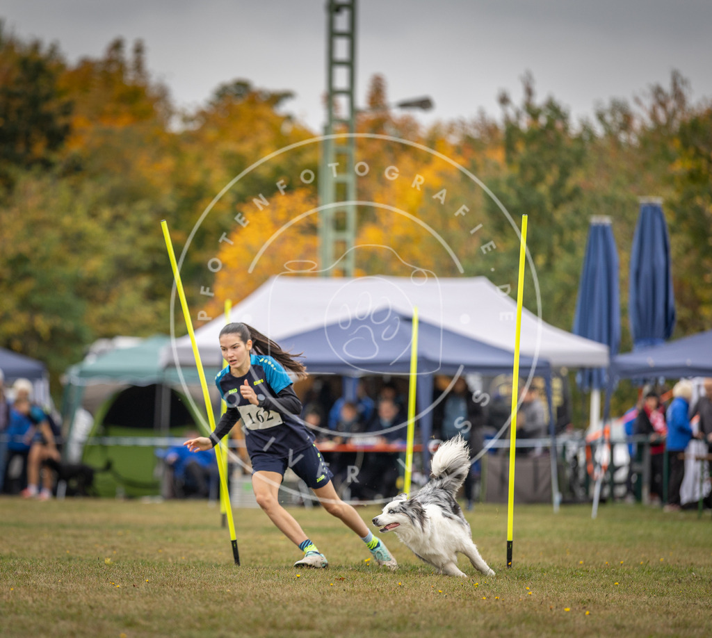 Pfotenfotografie_DV3A5151 | Hundefotografie, Tierfotograf, Pfotenfotografie, Fotoshooting Hund, Hunde Portrait, Hundesport, Hundeportraits, Heideshooting, Hunde, Sportfotograf, Hundefotograf, Turnierhundsport, THS,  - Realisiert mit Pictrs.com