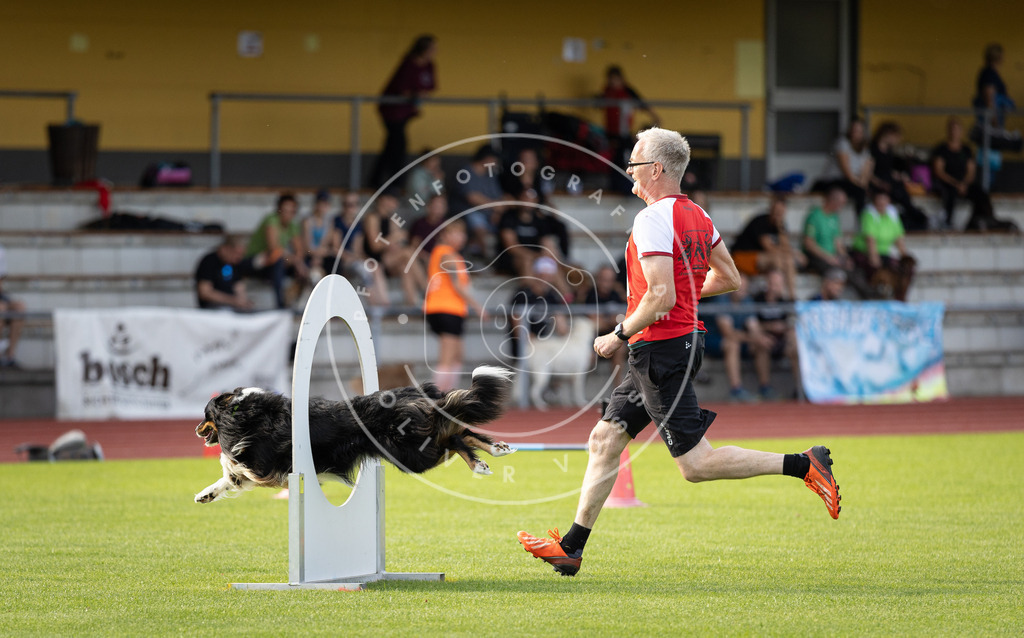 Pfotenfotografie_DV3A2775 | Hundefotografie, Tierfotograf, Pfotenfotografie, Fotoshooting Hund, Hunde Portrait, Hundesport, Hundeportraits, Heideshooting, Hunde, Sportfotograf, Hundefotograf, Turnierhundsport, THS,  - Realisiert mit Pictrs.com