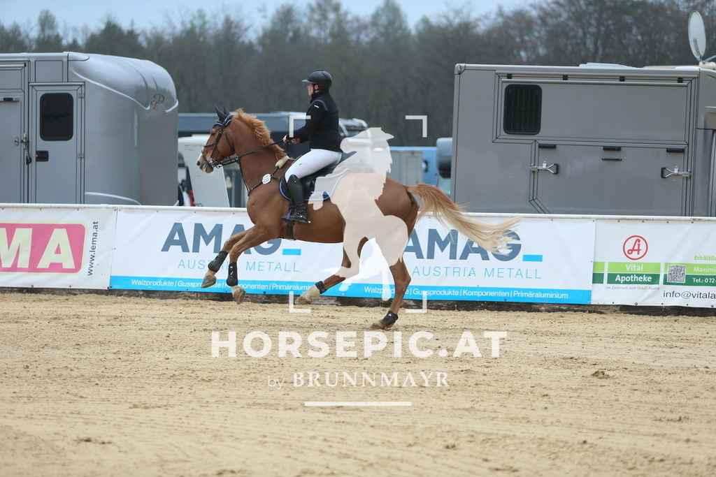 DL2Q7237 | Willkommen bei Brunnmayr - Design & Fotografie – Ihrem Spezialisten für Reitturniere und Pferdeveranstaltungen in Oberösterreich, Salzburg und Bayern! Seit über 17 Jahren sind wir leidenschaftlich dabei.