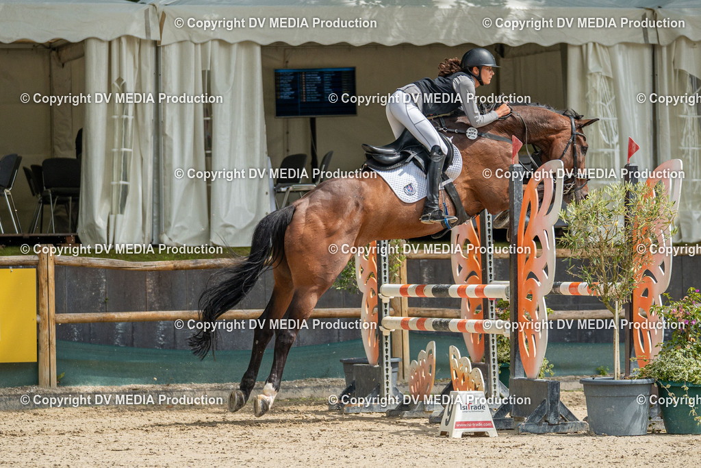 Hessische Tag 1-1341 | dv-media-shop - Realisiert mit Pictrs.com