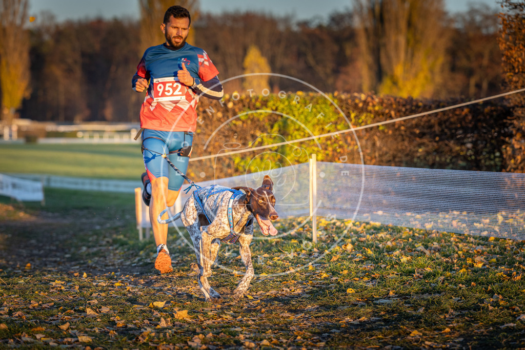 CaniXpix_DV3A5625 | Hundefotografie, Tierfotograf, Pfotenfotografie, Fotoshooting Hund, Hunde Portrait, Hundesport, Hundeportraits, Heideshooting, Hunde, Sportfotograf, Hundefotograf, Turnierhundsport, THS,  - Realisiert mit Pictrs.com