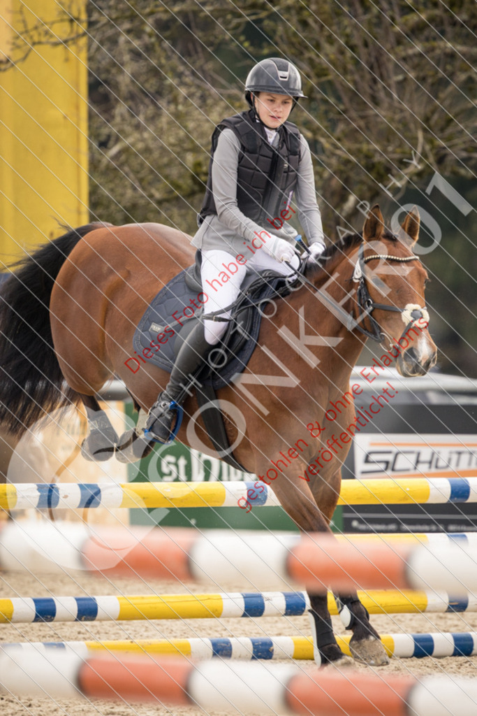 CON_0919 | Sport-, Event- und Tierfotos in Profiqualität. Einfach auswählen, bestellen und herunterladen. Dein Moment – perfekt festgehalten.