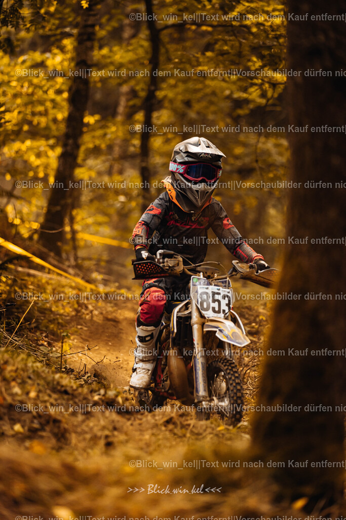 E68A4012 | blick_win_kel