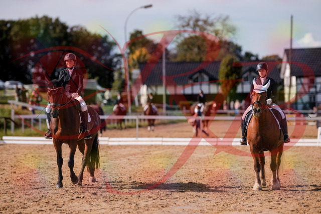 2026_10_03_Siefer-Hof_130119_Z81_53167457 | Professionelle Reitsport-, Turnier- und Eventfotografie von Robert Broda. Galerien mit ausgewählten und bearbeiteten Bildern direkt online ansehen und bestellen.