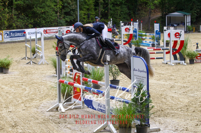 DKP40392 | Turniersportfotografie; Pferdefotografie; Dressurfotografie