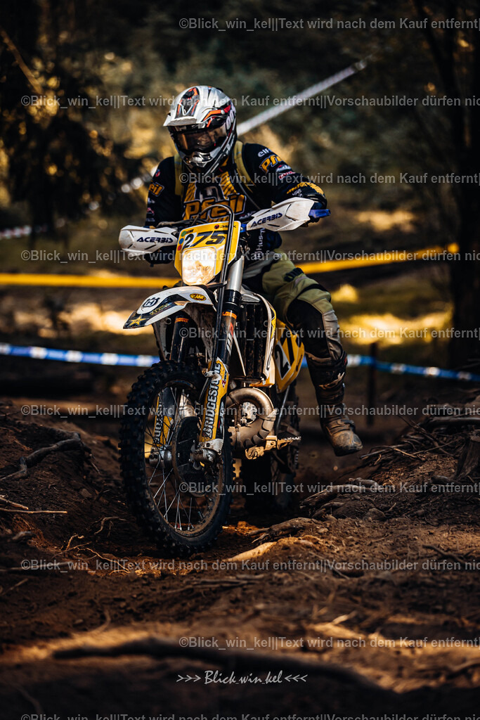 E68A7198 | blick_win_kel