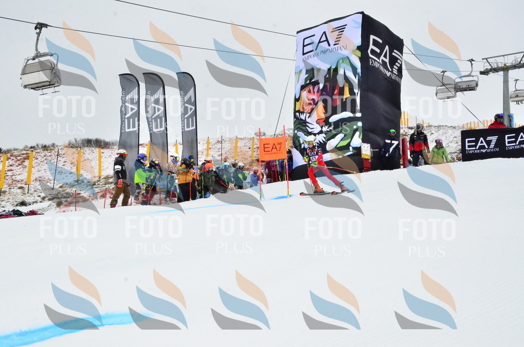 _ELE3447 | holidayphoto