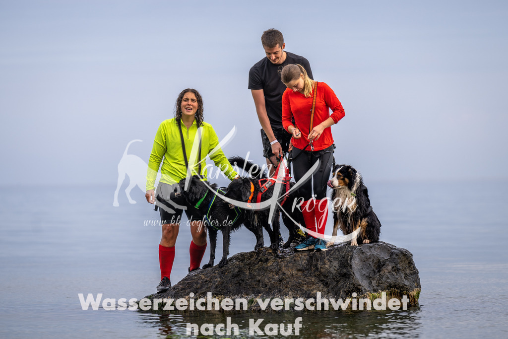 1218_ZZ90819 | kk-dogfotos