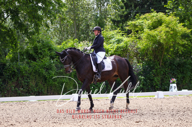 DKP41028 | Turnierfotos kaufen im Webshop von Daniel Kuhl Photography – entdecke professionelle Reitsportfotos aus Turnieren & Events. Hochwertige Turnierbilder online bestellen & sichern. Jetzt Fotos von Reitsportturnieren kaufen!