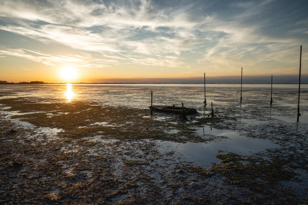 _DSC6858 | sebastiandoebroessy - Realisiert mit Pictrs.com