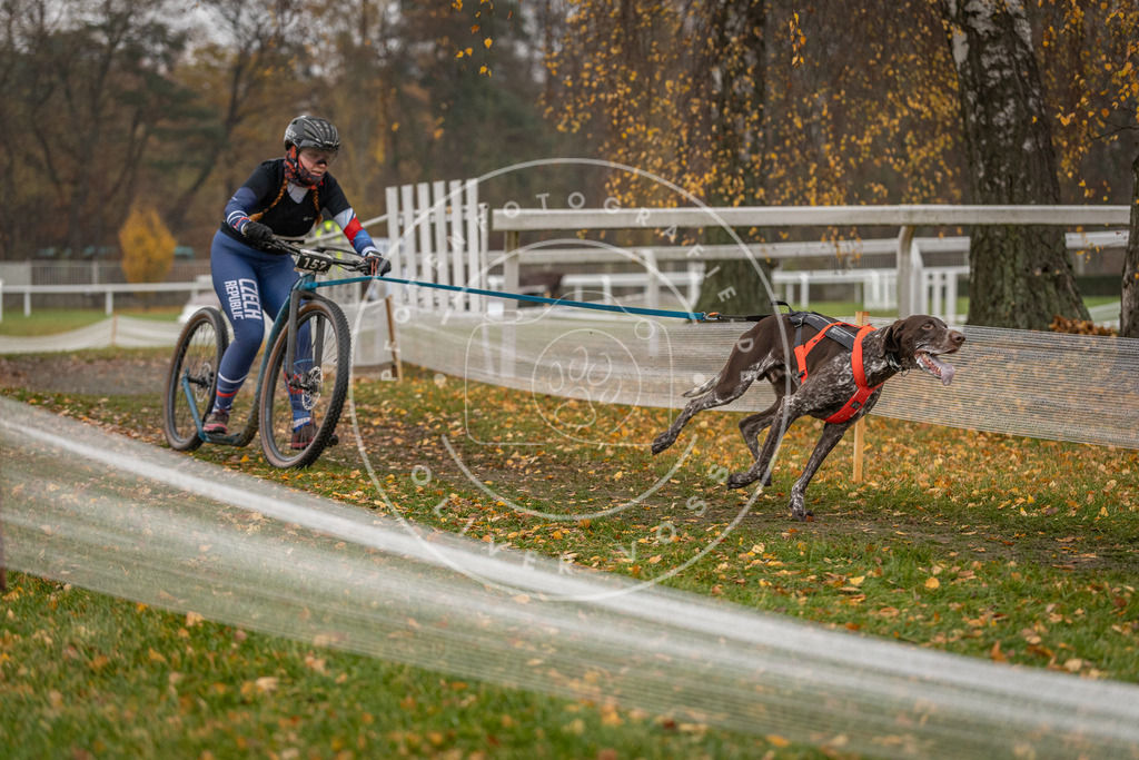 CaniXpix_DV3A8313 | Hundefotografie, Tierfotograf, Pfotenfotografie, Fotoshooting Hund, Hunde Portrait, Hundesport, Hundeportraits, Heideshooting, Hunde, Sportfotograf, Hundefotograf, Turnierhundsport, THS,  - Realisiert mit Pictrs.com