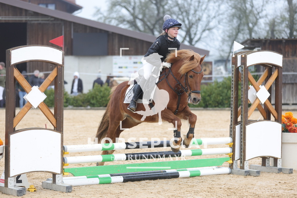 0P6A8637 | Willkommen bei Brunnmayr - Design & Fotografie – Ihrem Spezialisten für Reitturniere und Pferdeveranstaltungen in Oberösterreich, Salzburg und Bayern! Seit über 17 Jahren sind wir leidenschaftlich dabei.