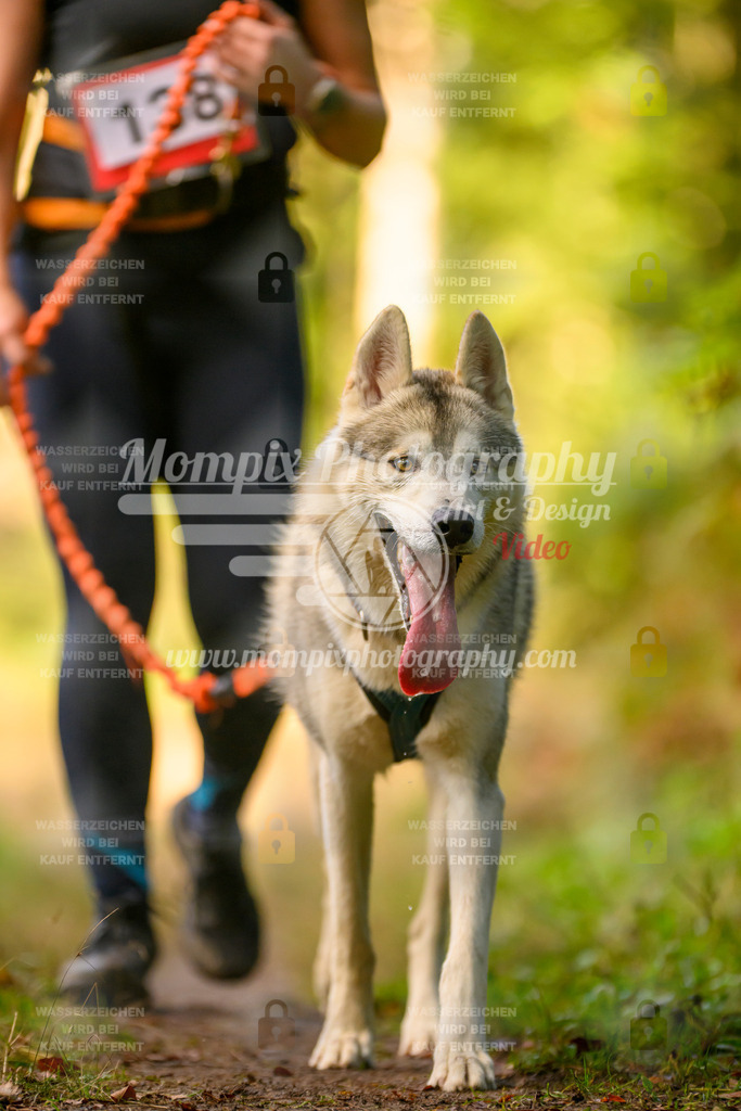 MompixPhotography_Yens2025_B4-29 | PayLife