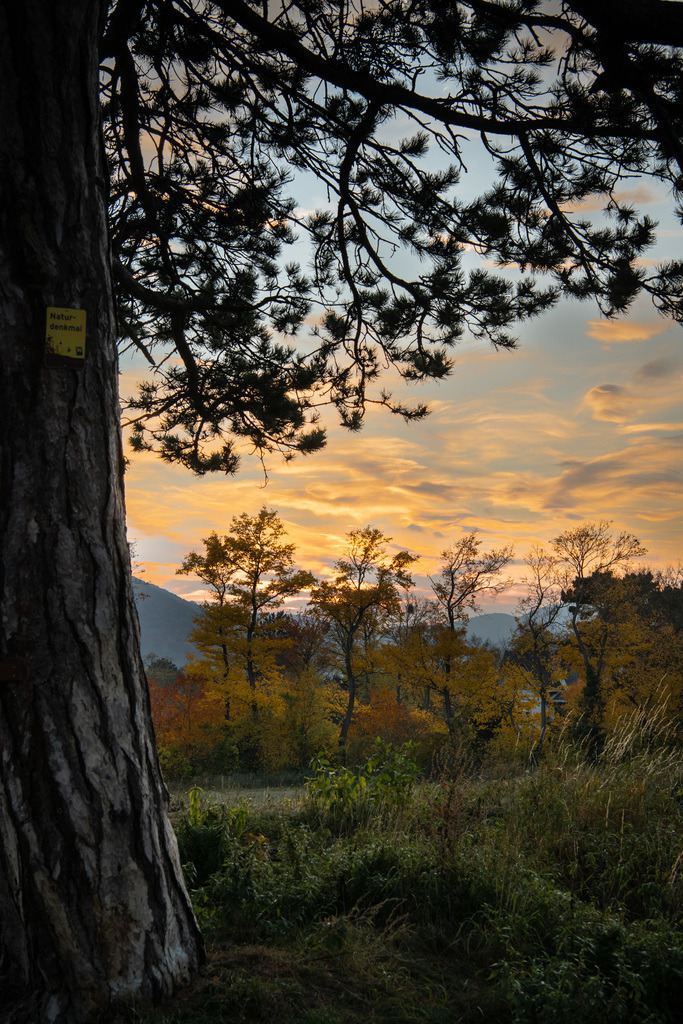 _DSC4796 | sebastiandoebroessy - Realisiert mit Pictrs.com