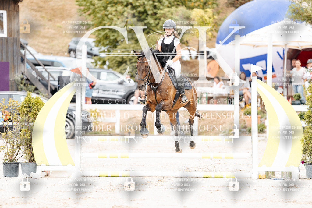 CK907786 | Turnierfotografie Pferdefotografie Trier Rheinland-Pfalz Pferdesport Reitsport Tierfotografie Sportfotografie Pferdevideo Pferdevideografie Equestrianvideography equestrianphotography  - Realisiert mit Pictrs.com