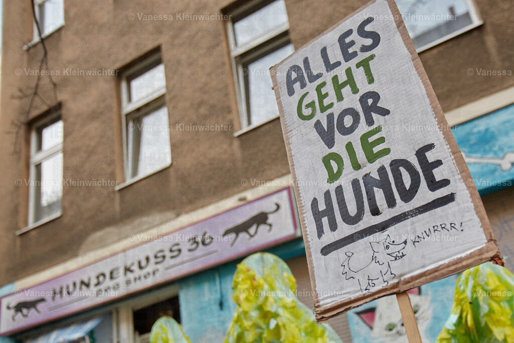 240323_Hundekuss36Bleibt_Hunderunde_08 | Vanessa Kleinwächter - Realisiert mit Pictrs.com