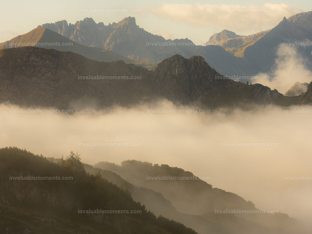 DSC_9495 | invaluablemoments.com - Realisiert mit Pictrs.com