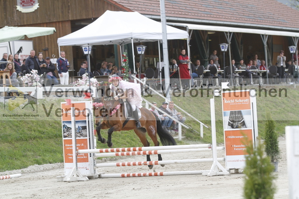 _MG_5387 | equestrian-live-com